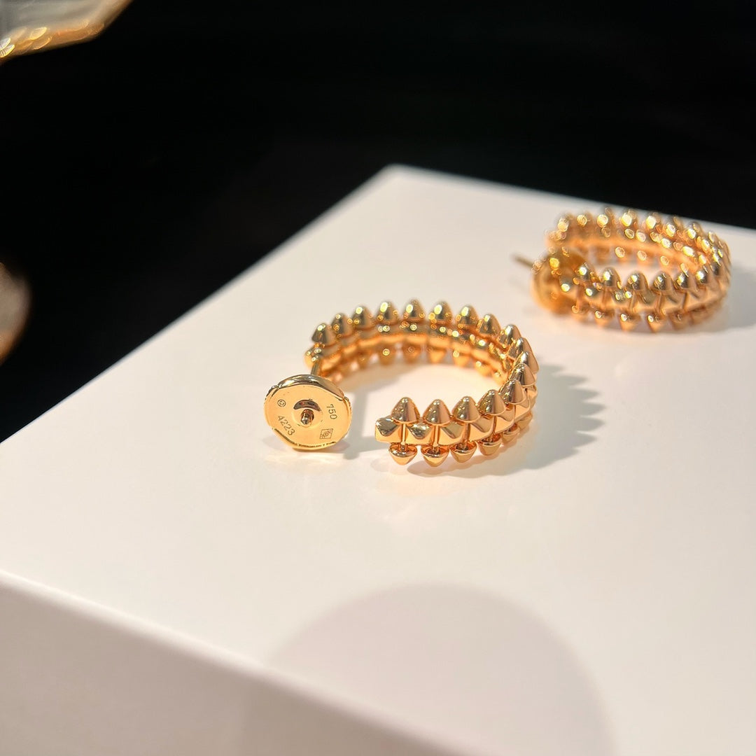 [⭐Seralia]CLASH EARRINGS