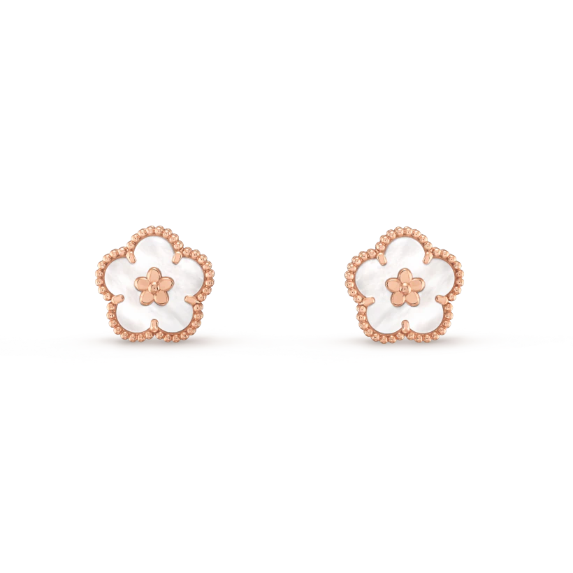 [⭐Seralia]2026 NEW STYLE LUCKY SPRING EARRINGS